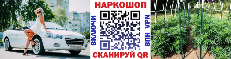 Виды наркотиков купить Ветлуга Марихуана  МДМА  АМФ  Меф мяу мяу  Гашиш  Alpha-PVP 